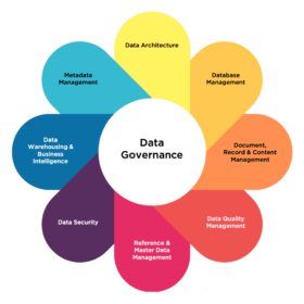 Data Governance & Quality Management