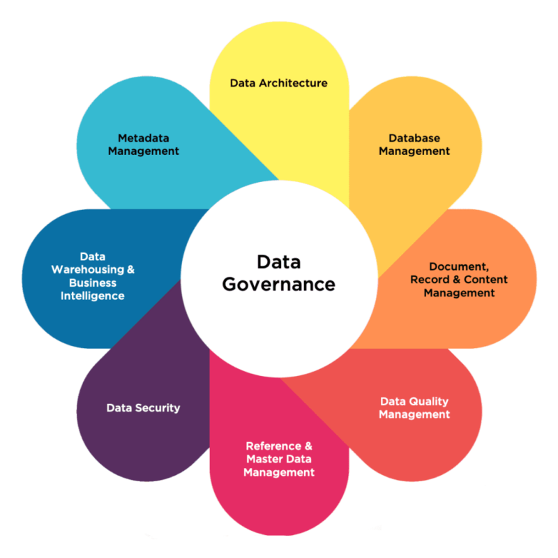Data Governance & Quality Management