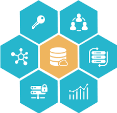 Data management services
