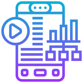 Enterprise Application Customization & Extension
