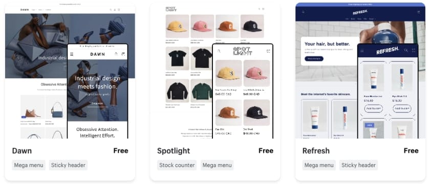 Shopify store